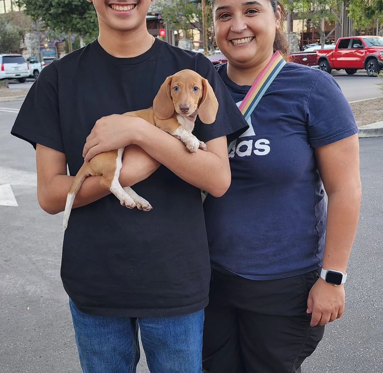 David Chen with their River Stone Doxies Dachshund
